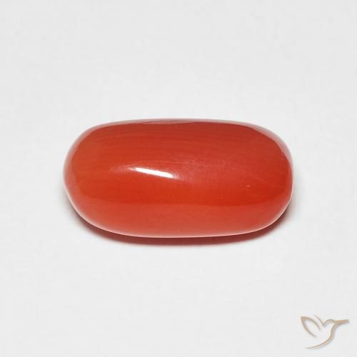 2.11ct 天然 中红 珊瑚, 椭圆形, 不透明