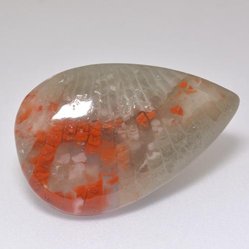 8.29克拉天然多色珊瑚，梨形，21.3×13.7毫米，半透明