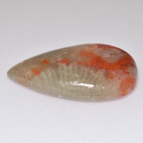 8.29克拉天然多色珊瑚，梨形，21.3×13.7毫米，半透明