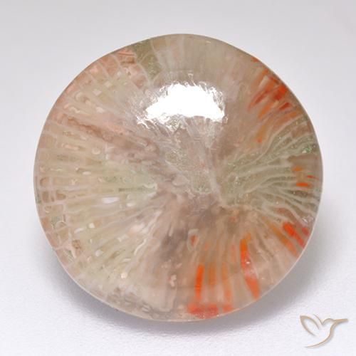 8.32ct 天然 彩色 珊瑚, 圆形的, 半透明