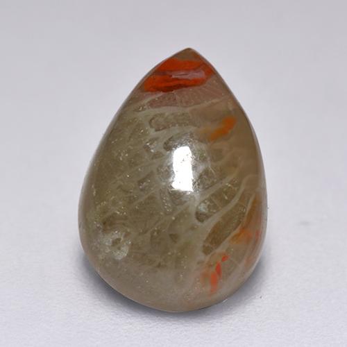 2.23克拉天然多色珊瑚，梨形，10.4×7.3毫米，半透明