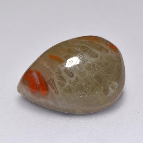 2.23克拉天然多色珊瑚，梨形，10.4×7.3毫米，半透明