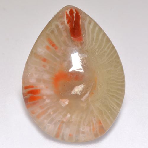 9.83克拉天然多色珊瑚，梨形，20.3×15.1毫米，半透明