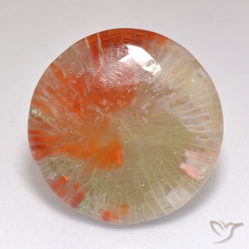 9.29ct 天然 彩色 珊瑚, 圆形的, 半透明