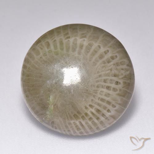 KZ29 天然紅珊瑚戒指活圍)/6.3*4.7mm/銀台/送天然寶石福袋