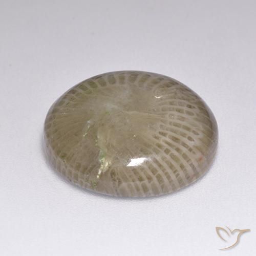 9.39克拉天然珊瑚，圆形的，不透明