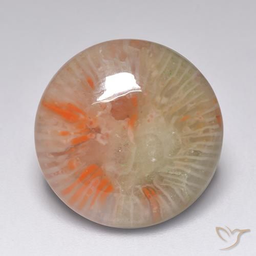 7.51ct 天然 彩色 珊瑚, 圆形的, 半透明