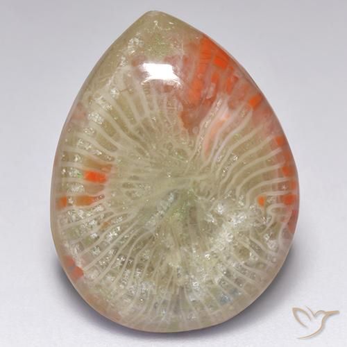 9.84克拉天然多色珊瑚，梨形，19.6×15毫米，半透明