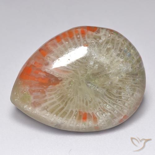 9.84克拉天然多色珊瑚，梨形，19.6×15毫米，半透明