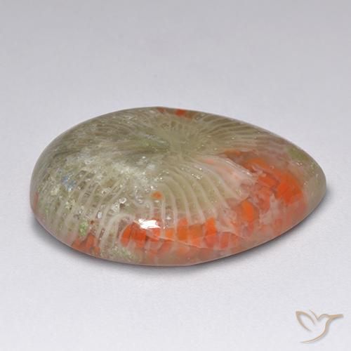 9.84克拉天然多色珊瑚，梨形，19.6×15毫米，半透明