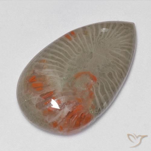 15.23ct 天然 彩色 珊瑚, 梨形, 半透明