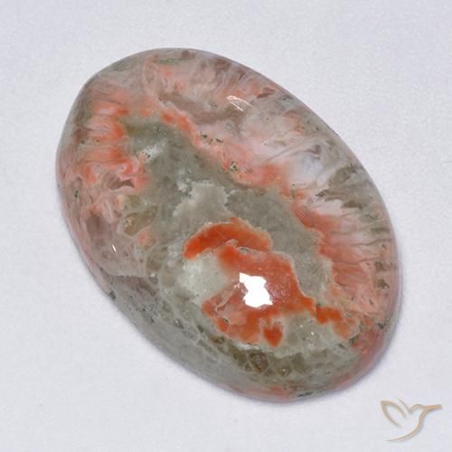 13.71ct 天然 彩色 珊瑚, 椭圆形, 半透明