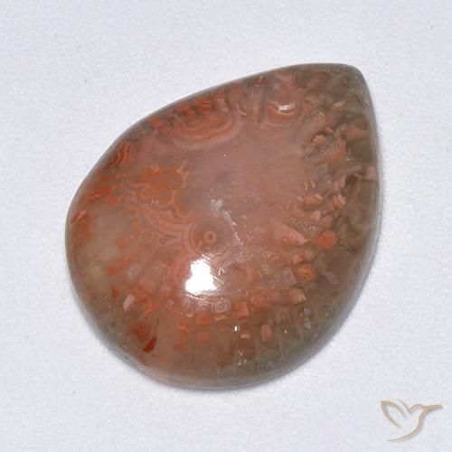 9.51ct 天然 彩色 珊瑚, 梨形, 半透明