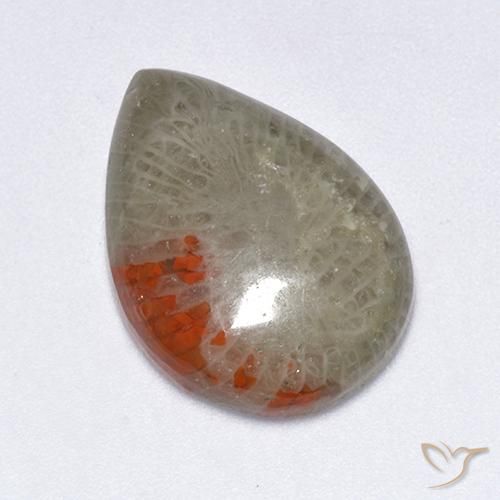 10.40ct 天然 彩色 珊瑚, 梨形, 半透明, Photo A