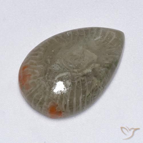 5.79ct 天然 彩色 珊瑚, 梨形, 半透明