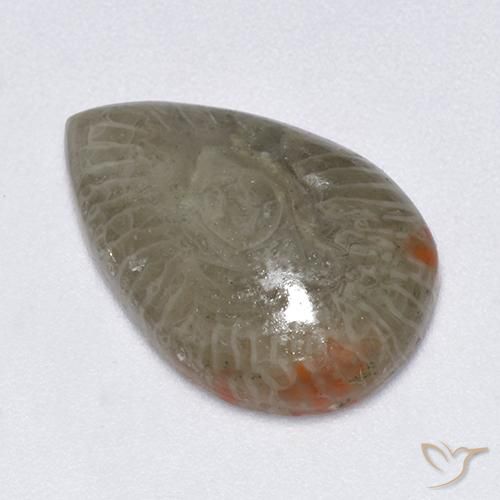 5.79克拉天然珊瑚，梨形，半透明