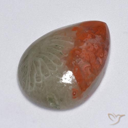 8.14ct 天然 彩色 珊瑚, 梨形, 半透明