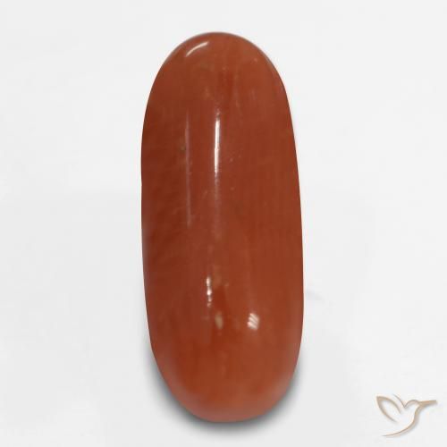 2.47ct 天然 火红 珊瑚, 椭圆形, 不透明