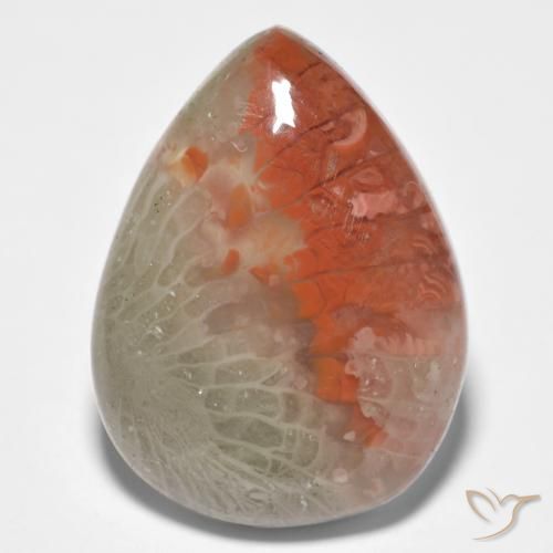 10.86ct 天然 彩色 珊瑚, 梨形, 半透明