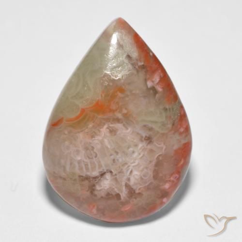 11.65ct 天然 彩色 珊瑚, 梨形, 半透明
