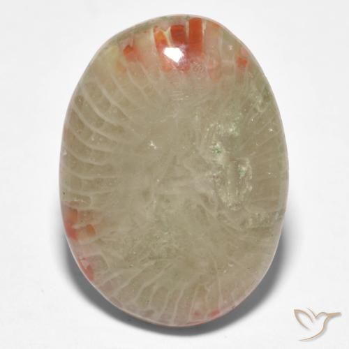 8.81ct 天然 彩色 珊瑚, 椭圆形, 半透明