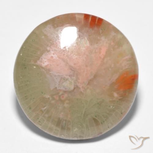 11.91ct 天然 彩色 珊瑚, 圆形的, 半透明