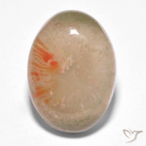 10.34ct 天然 彩色 珊瑚, 椭圆形, 半透明