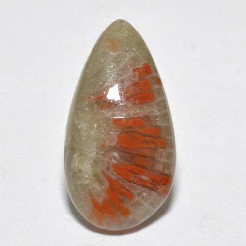 4.62克拉天然多色珊瑚，梨形，18×9.5毫米，半透明