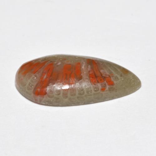 4.62克拉天然多色珊瑚，梨形，18×9.5毫米，半透明