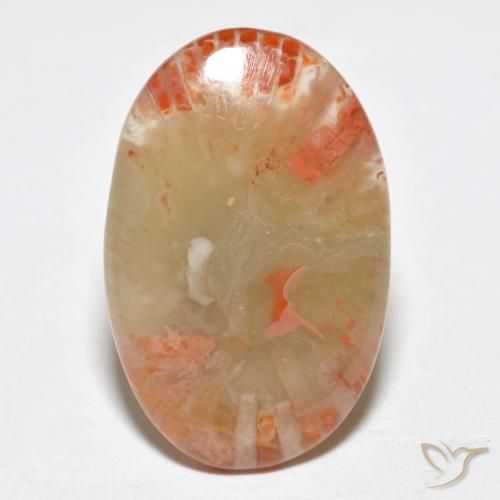 6.23ct 天然 彩色 珊瑚, 椭圆形, 半透明
