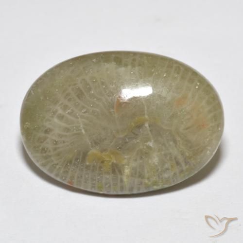 7.96克拉天然珊瑚，椭圆形，不透明