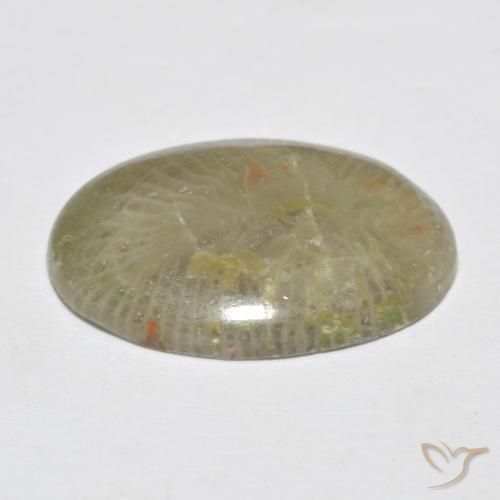 7.96克拉天然珊瑚，椭圆形，不透明