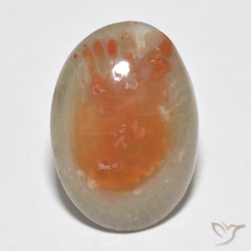 7.46ct 天然 彩色 珊瑚, 椭圆形, 半透明, Photo A