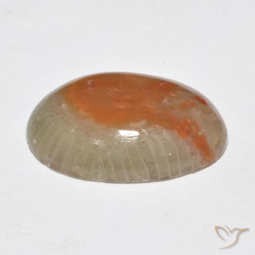 7.46克拉天然珊瑚，椭圆形，半透明