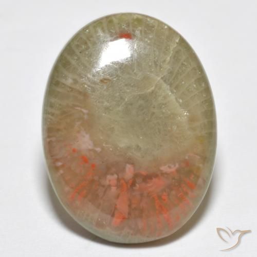 10.63ct 天然 彩色 珊瑚, 椭圆形, 半透明