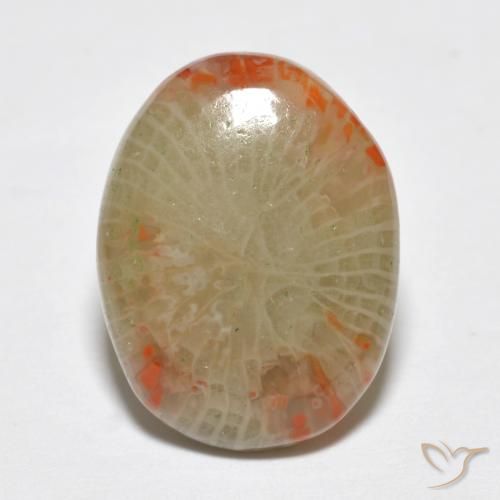 5.78ct 天然 彩色 珊瑚, 椭圆形, 半透明