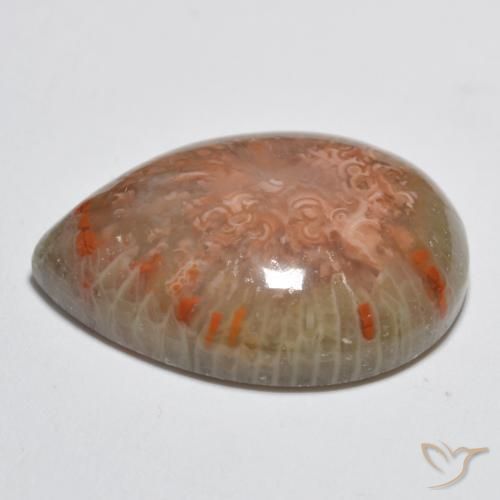 11.49克拉天然珊瑚，梨形，不透明
