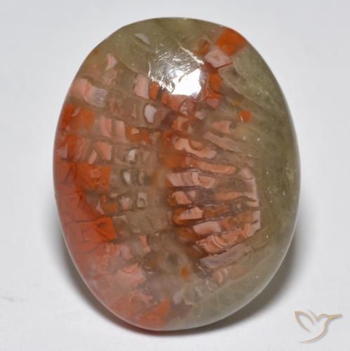 10.87ct 天然 彩色 珊瑚, 椭圆形, 半透明