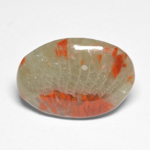 5.03克拉天然多色珊瑚，椭圆形切割，17.4×12毫米，半透明
