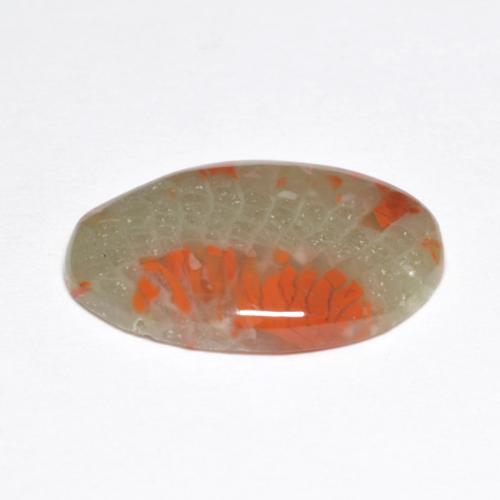 5.03克拉天然多色珊瑚，椭圆形切割，17.4×12毫米，半透明