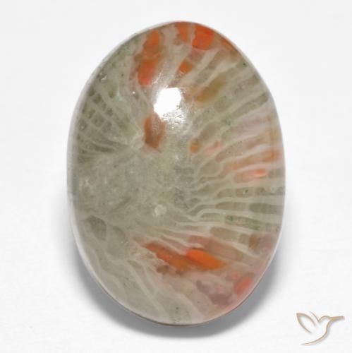 6.74ct 天然 彩色 珊瑚, 椭圆形, 不透明
