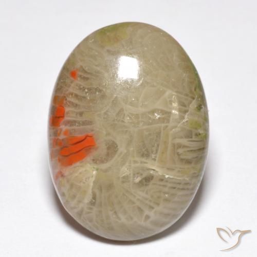 10.40ct 天然 彩色 珊瑚, 椭圆形, 不透明