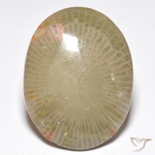 13.91ct 天然 彩色 珊瑚, 椭圆形, 半透明