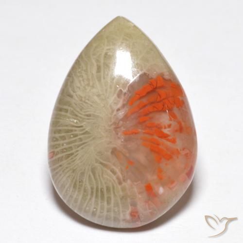 10.46ct 天然 彩色 珊瑚, 梨形, 半透明