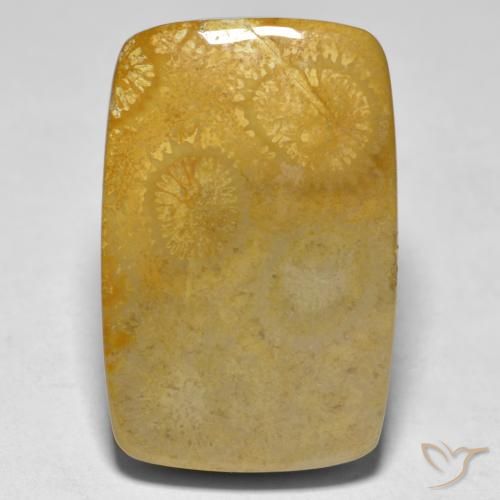 17.79ct 天然 彩色 珊瑚, 软垫, 不透明