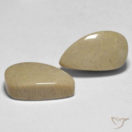 16.75克拉天然珊瑚，花式切割，不透明