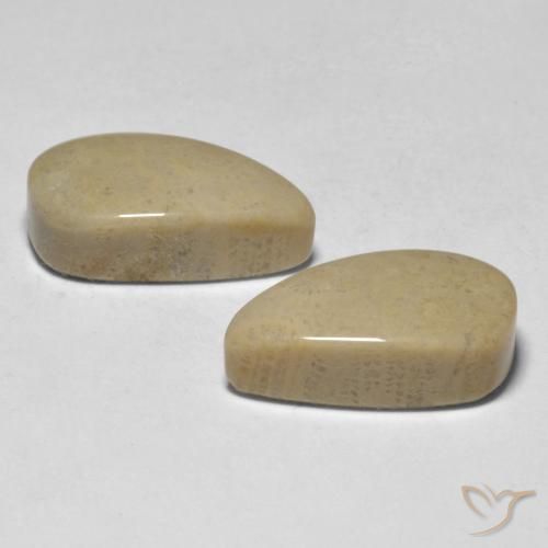 16.75克拉天然珊瑚，花式切割，不透明
