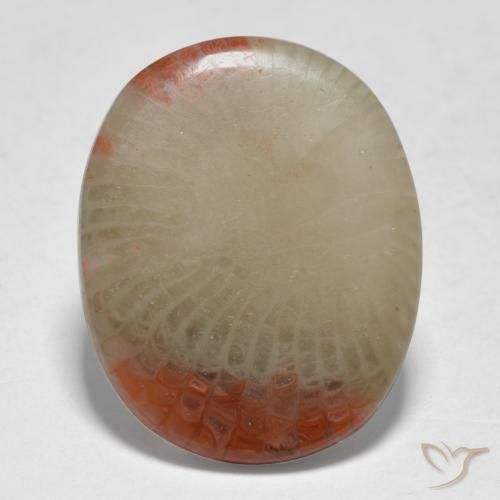 5.98ct 天然 彩色 珊瑚, 椭圆形, 半透明