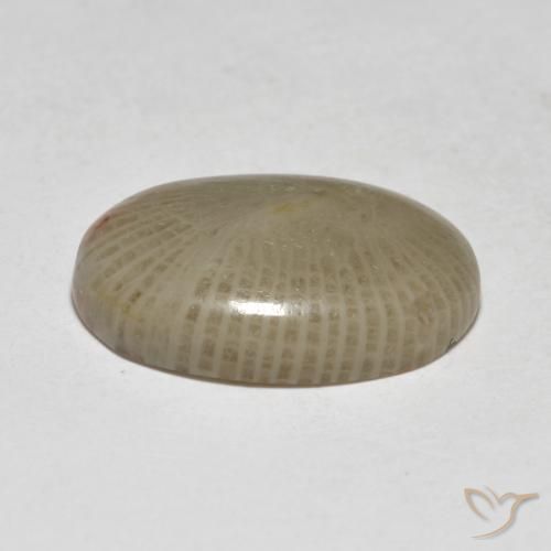 7.50克拉天然珊瑚，椭圆形，半透明