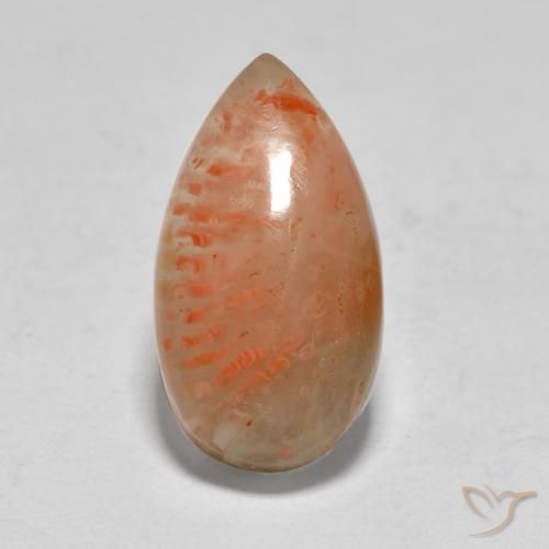 5.79ct 天然 彩色 珊瑚, 梨形, 半透明